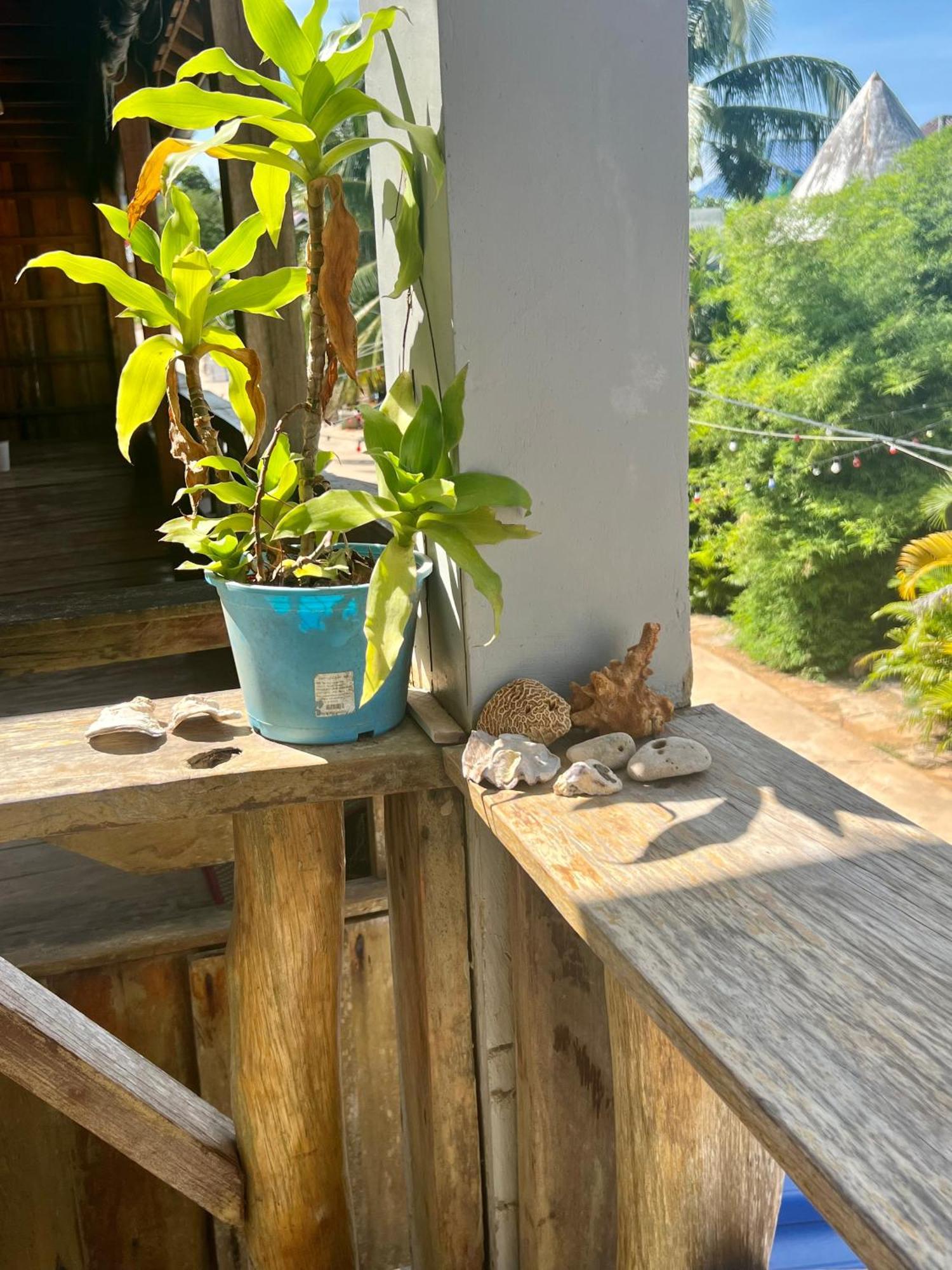 Ing Ing Guesthouse Koh Rong Sanloem Esterno foto